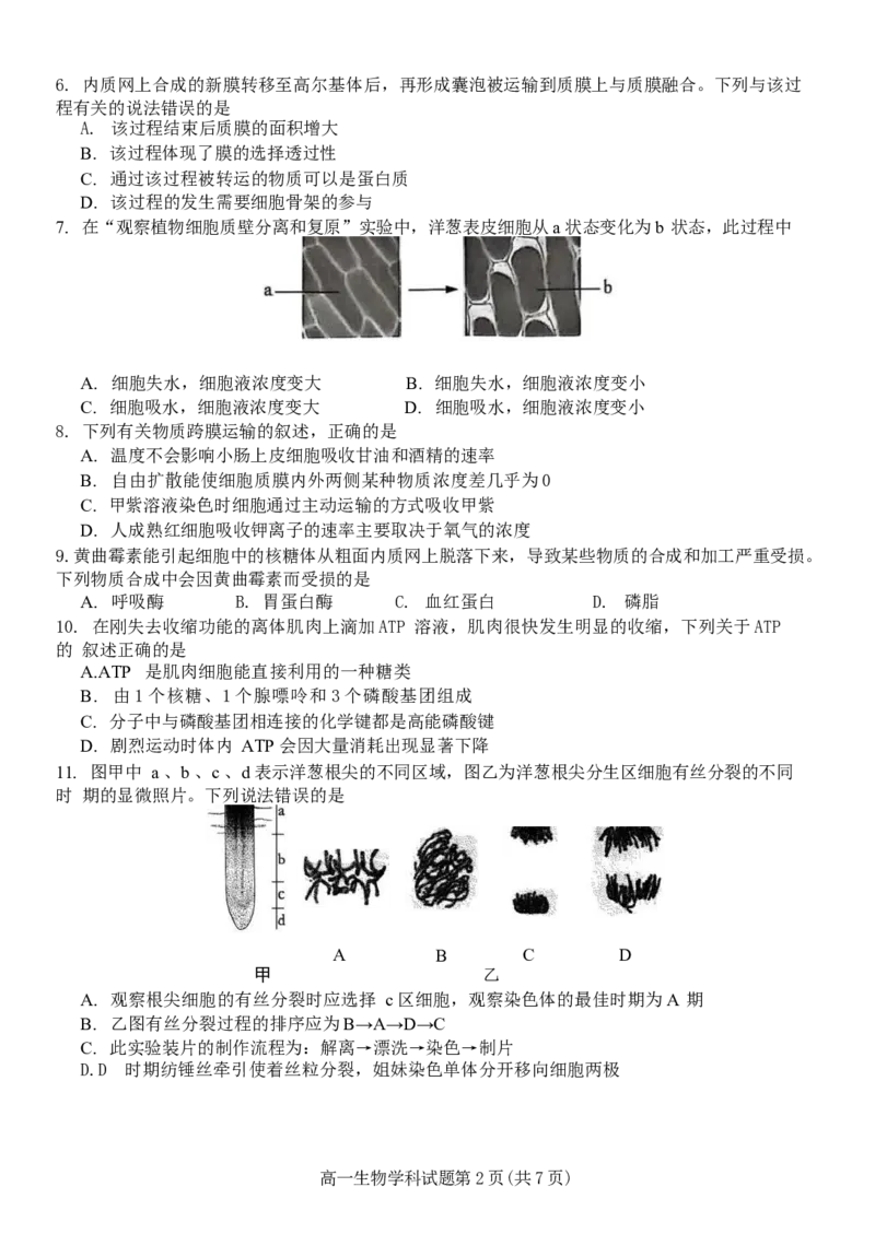 浙江省宁波市三锋教研联盟2024-2025学年高一下学期4月期中生物试卷（有答案）_2024-2025高一（7-7月题库）_2025年04月试卷_0425浙江省三锋联盟2024-2025学年高一下学期4月期中考试