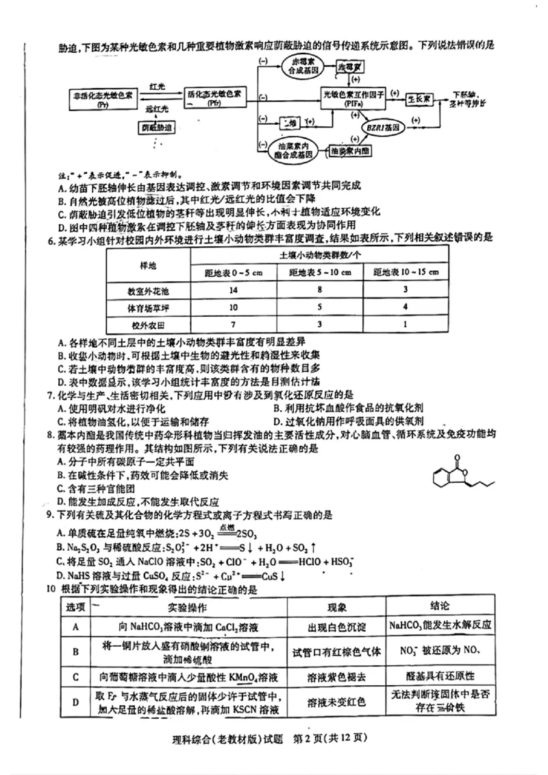天一大联考五理综试卷(1)_2024年2月_022月合集_2024届天一大联考高三阶段性测试（五）老高考