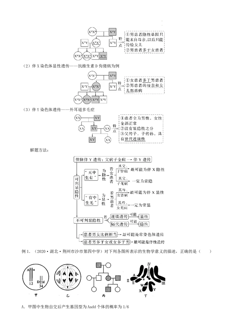 高一生物春学期知识点总结高一下学期生物人教版必修2_E015高中全科试卷_生物试题_必修2_6.知识汇总