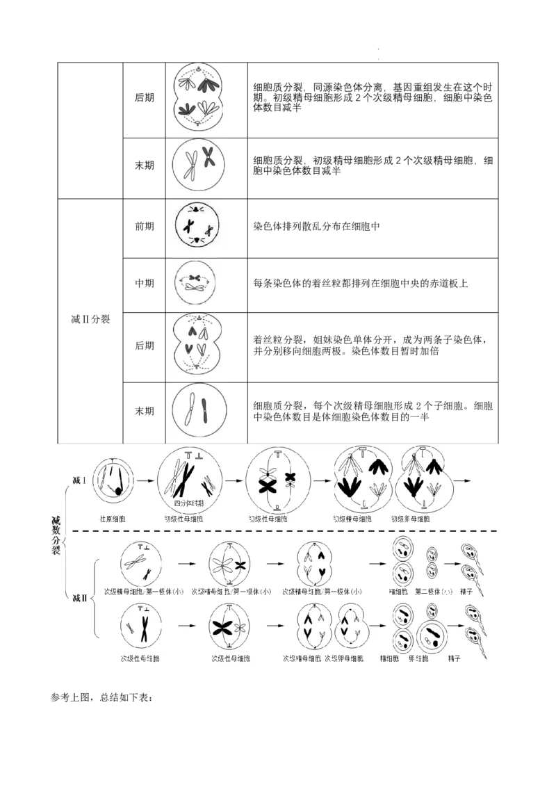 高一生物春学期知识点总结高一下学期生物人教版必修2_E015高中全科试卷_生物试题_必修2_6.知识汇总