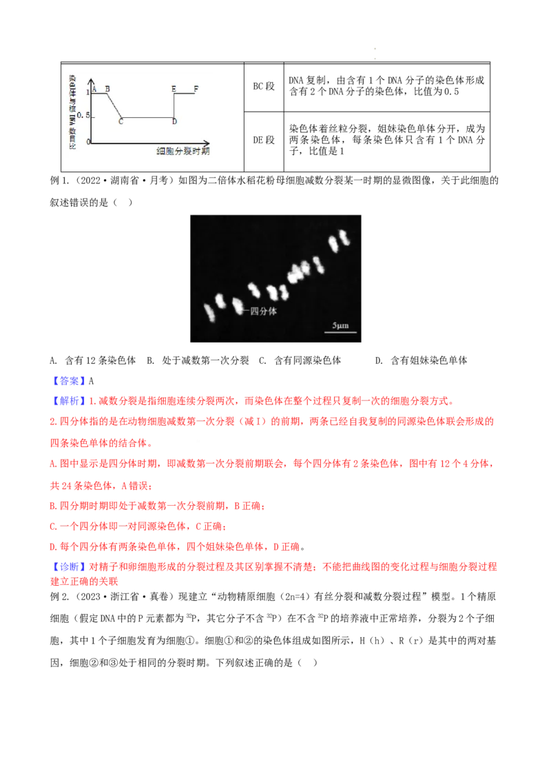 高一生物春学期知识点总结高一下学期生物人教版必修2_E015高中全科试卷_生物试题_必修2_6.知识汇总