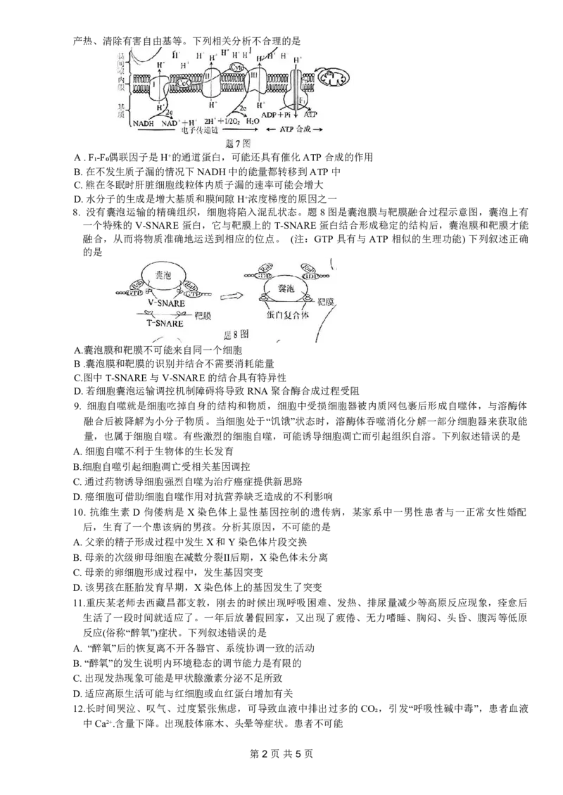 康德2024年重庆市普通高中学业水平选择性考试高考模拟调研卷（二）生物试题_2024年2月_01每日更新_26号_2024届重庆康德2024年普通高等学校招生全国统一考试高考模拟调研卷（二）