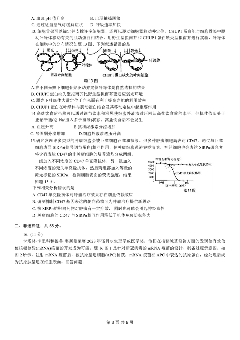 康德2024年重庆市普通高中学业水平选择性考试高考模拟调研卷（二）生物试题_2024年2月_01每日更新_26号_2024届重庆康德2024年普通高等学校招生全国统一考试高考模拟调研卷（二）
