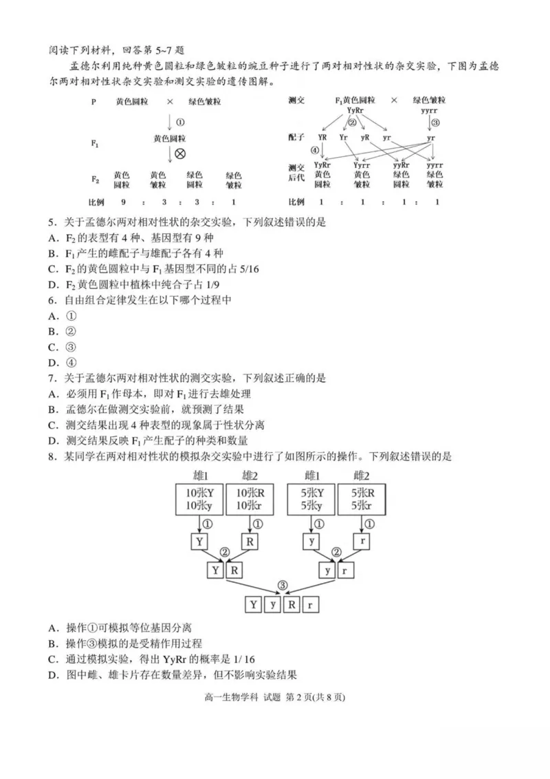 浙江省嘉兴市八校联盟2024-2025学年高一下学期4月期中联考生物试卷（扫描版有答案）_2024-2025高一（7-7月题库）_2025年04月试卷_0427浙江省嘉兴市八校2024-2025学年高一下学期4月期中联考