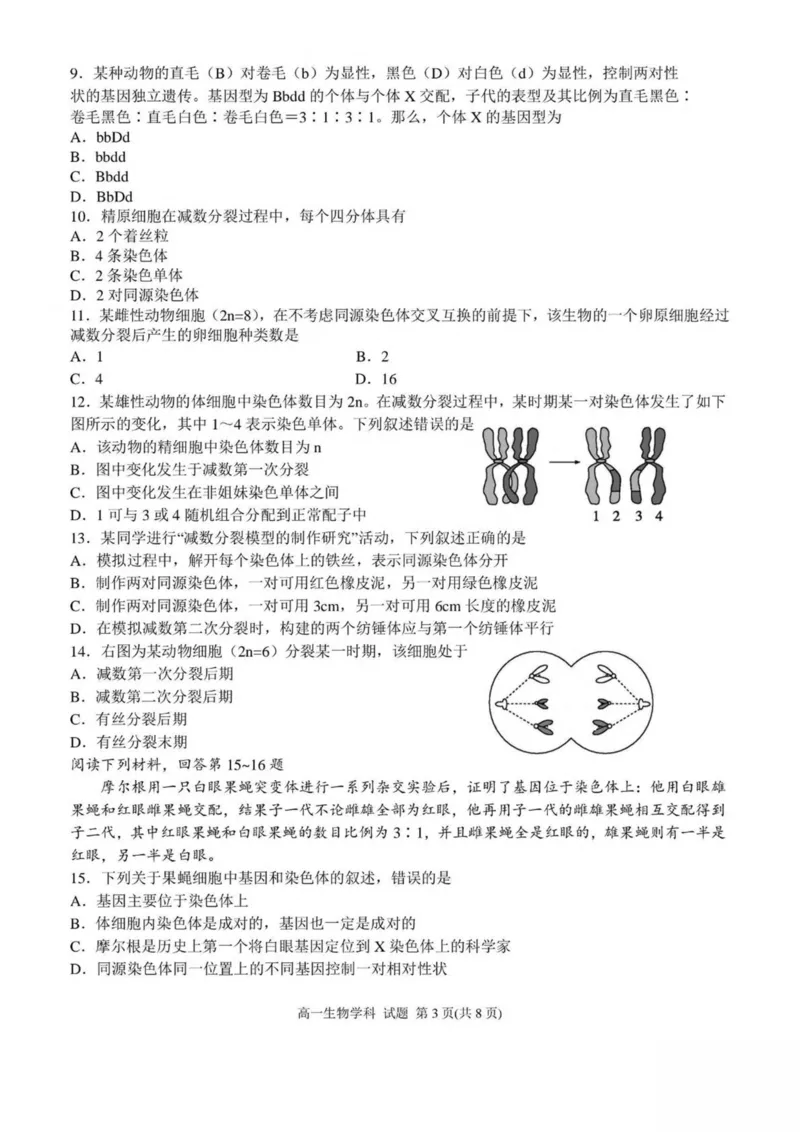 浙江省嘉兴市八校联盟2024-2025学年高一下学期4月期中联考生物试卷（扫描版有答案）_2024-2025高一（7-7月题库）_2025年04月试卷_0427浙江省嘉兴市八校2024-2025学年高一下学期4月期中联考