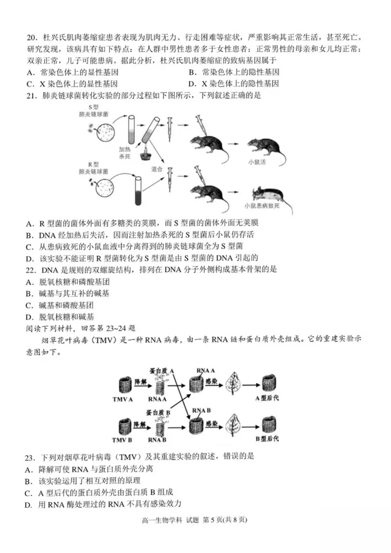 浙江省嘉兴市八校联盟2024-2025学年高一下学期4月期中联考生物试卷（扫描版有答案）_2024-2025高一（7-7月题库）_2025年04月试卷_0427浙江省嘉兴市八校2024-2025学年高一下学期4月期中联考