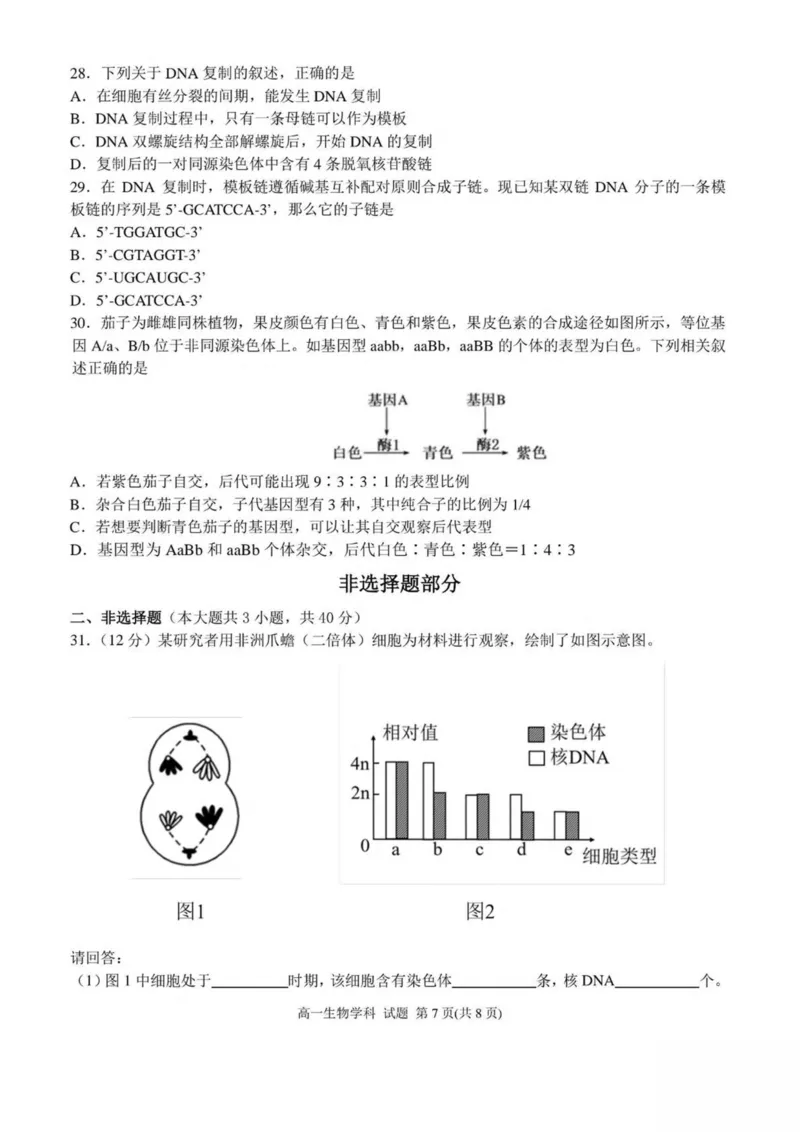 浙江省嘉兴市八校联盟2024-2025学年高一下学期4月期中联考生物试卷（扫描版有答案）_2024-2025高一（7-7月题库）_2025年04月试卷_0427浙江省嘉兴市八校2024-2025学年高一下学期4月期中联考