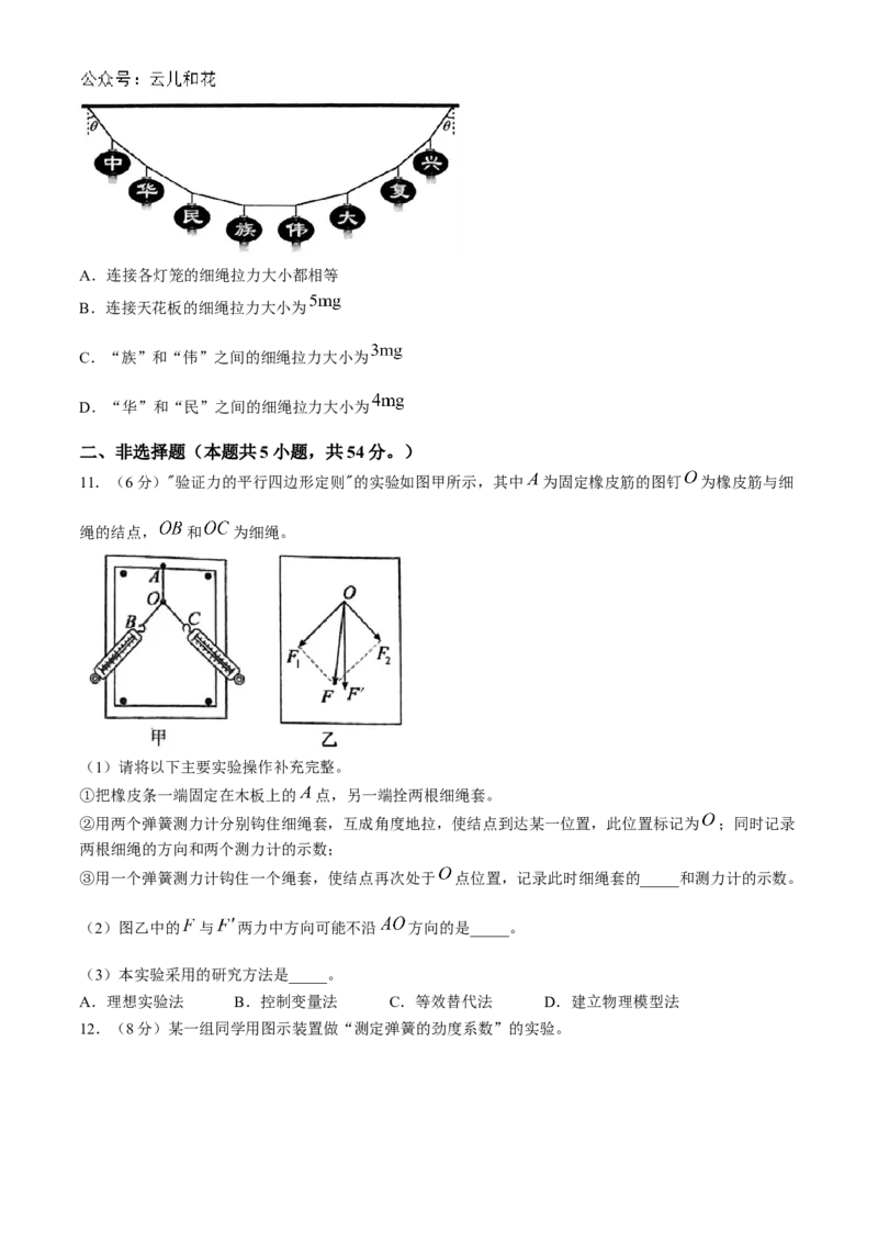 辽宁省大连市滨城高中联盟2024-2025学年高一上学期期中物理试卷（含答案）_2024-2025高一（7-7月题库）_2024年12月试卷_1202辽宁省大连市滨城高中联盟2024-2025学年高一上学期期中考试