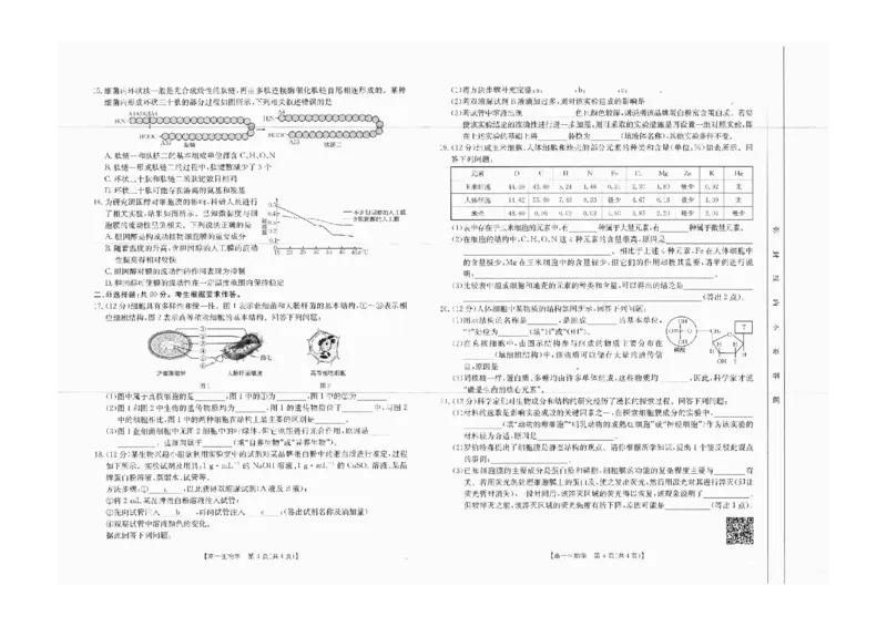 高一生物_2024-2025高一（7-7月题库）_2024年10月试卷_1031广西2025年高一金太阳10月联考
