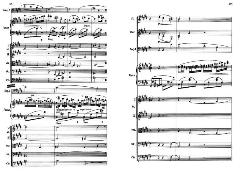 Chopin-1stPianoConcertoinEMinor-FullScore_一万首著名钢琴曲谱哈农贝多芬合集视频教学电子版高清无水印可打印_1古典钢琴知名音乐家谱_肖邦钢琴谱全集_肖邦E小调第一钢琴协奏曲Op.11总谱