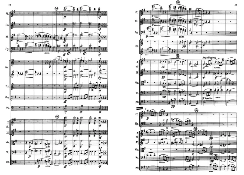 Chopin-1stPianoConcertoinEMinor-FullScore_一万首著名钢琴曲谱哈农贝多芬合集视频教学电子版高清无水印可打印_1古典钢琴知名音乐家谱_肖邦钢琴谱全集_肖邦E小调第一钢琴协奏曲Op.11总谱