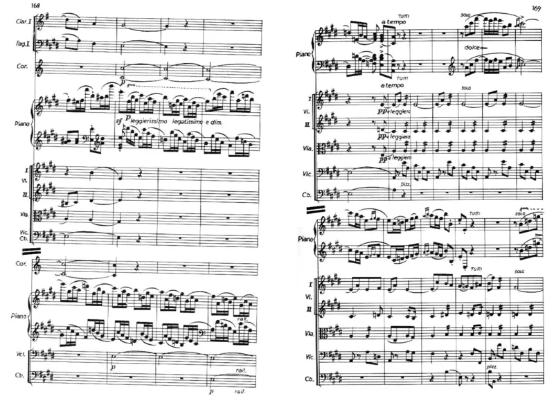 Chopin-1stPianoConcertoinEMinor-FullScore_一万首著名钢琴曲谱哈农贝多芬合集视频教学电子版高清无水印可打印_1古典钢琴知名音乐家谱_肖邦钢琴谱全集_肖邦E小调第一钢琴协奏曲Op.11总谱