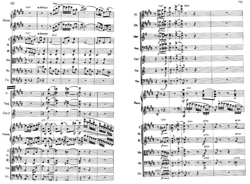 Chopin-1stPianoConcertoinEMinor-FullScore_一万首著名钢琴曲谱哈农贝多芬合集视频教学电子版高清无水印可打印_1古典钢琴知名音乐家谱_肖邦钢琴谱全集_肖邦E小调第一钢琴协奏曲Op.11总谱