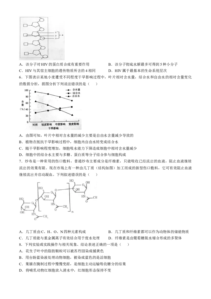 辽宁省七校协作体2024-2025学年高一下学期3月联考生物学试题（含答案）_2024-2025高一（7-7月题库）_2025年03月试卷_0308辽宁省七校协作体2024-2025学年高一下学期3月联考