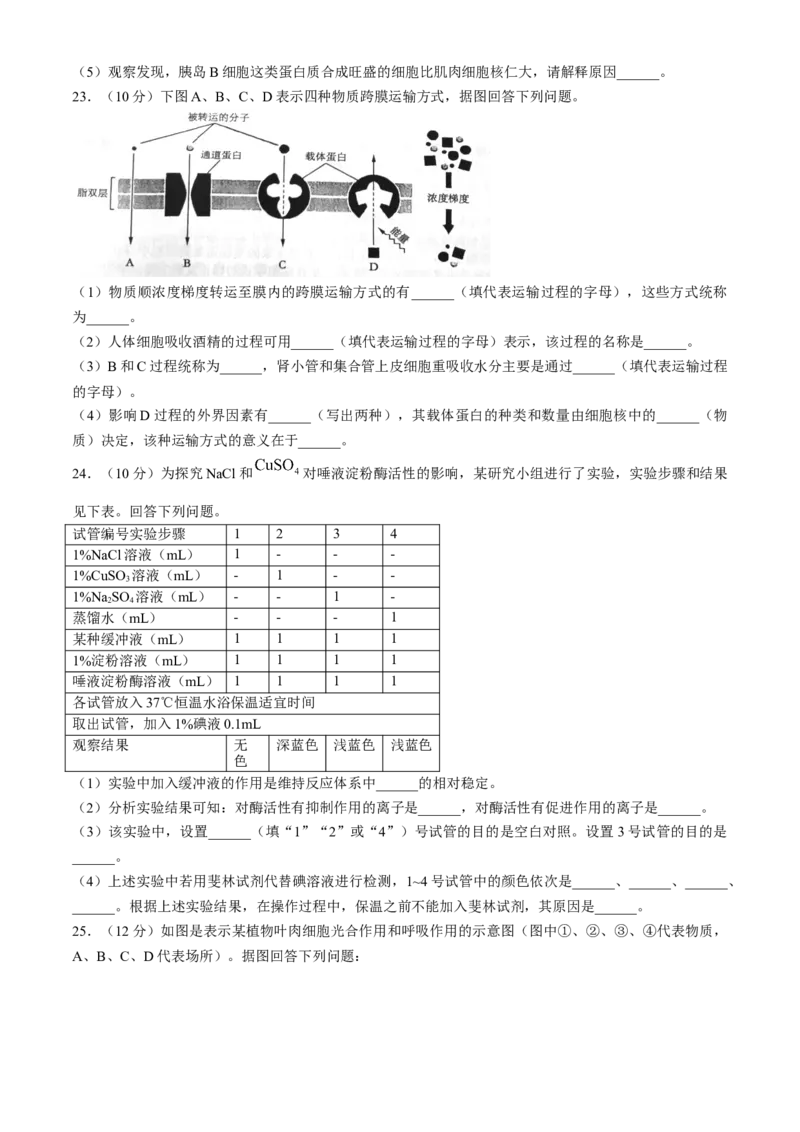 辽宁省七校协作体2024-2025学年高一下学期3月联考生物学试题（含答案）_2024-2025高一（7-7月题库）_2025年03月试卷_0308辽宁省七校协作体2024-2025学年高一下学期3月联考