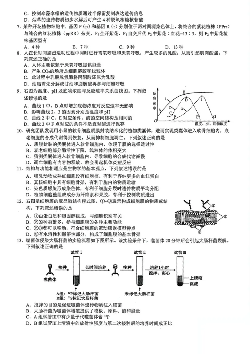 浙江省91高中联盟2024-2025学年高一下学期4月期中考试生物PDF版含答案_2024-2025高一（7-7月题库）_2025年05月试卷_0519浙江省9+1高中联盟2024-2025学年高一下学期4月期中考试