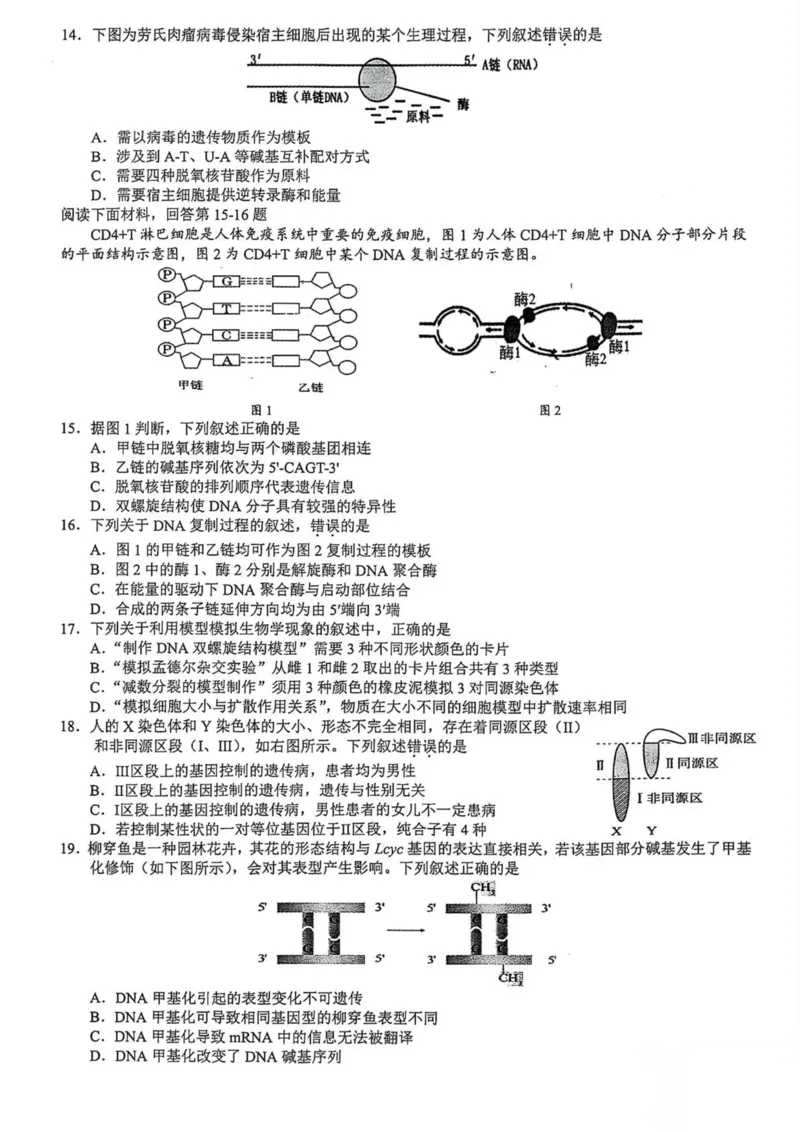 浙江省91高中联盟2024-2025学年高一下学期4月期中考试生物PDF版含答案_2024-2025高一（7-7月题库）_2025年05月试卷_0519浙江省9+1高中联盟2024-2025学年高一下学期4月期中考试