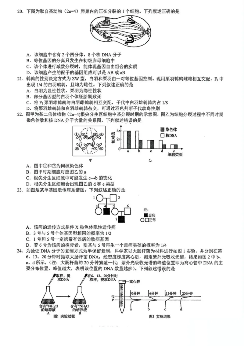 浙江省91高中联盟2024-2025学年高一下学期4月期中考试生物PDF版含答案_2024-2025高一（7-7月题库）_2025年05月试卷_0519浙江省9+1高中联盟2024-2025学年高一下学期4月期中考试