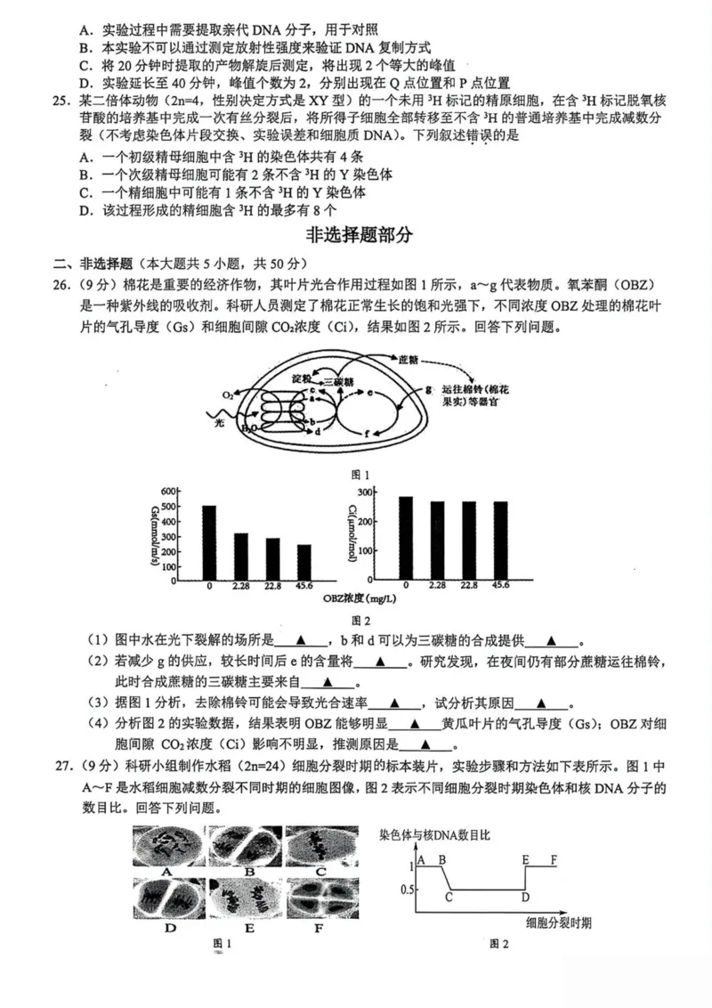 浙江省91高中联盟2024-2025学年高一下学期4月期中考试生物PDF版含答案_2024-2025高一（7-7月题库）_2025年05月试卷_0519浙江省9+1高中联盟2024-2025学年高一下学期4月期中考试