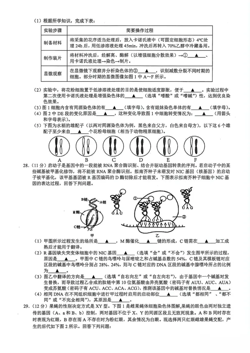 浙江省91高中联盟2024-2025学年高一下学期4月期中考试生物PDF版含答案_2024-2025高一（7-7月题库）_2025年05月试卷_0519浙江省9+1高中联盟2024-2025学年高一下学期4月期中考试
