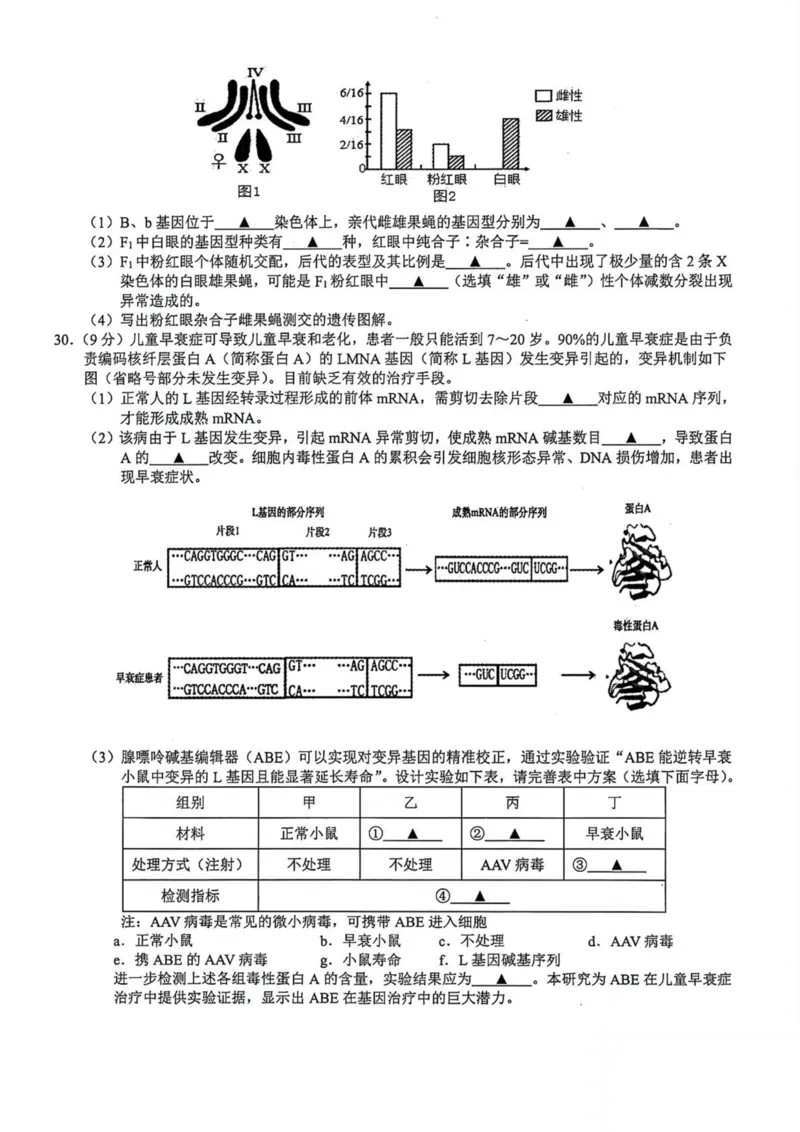 浙江省91高中联盟2024-2025学年高一下学期4月期中考试生物PDF版含答案_2024-2025高一（7-7月题库）_2025年05月试卷_0519浙江省9+1高中联盟2024-2025学年高一下学期4月期中考试
