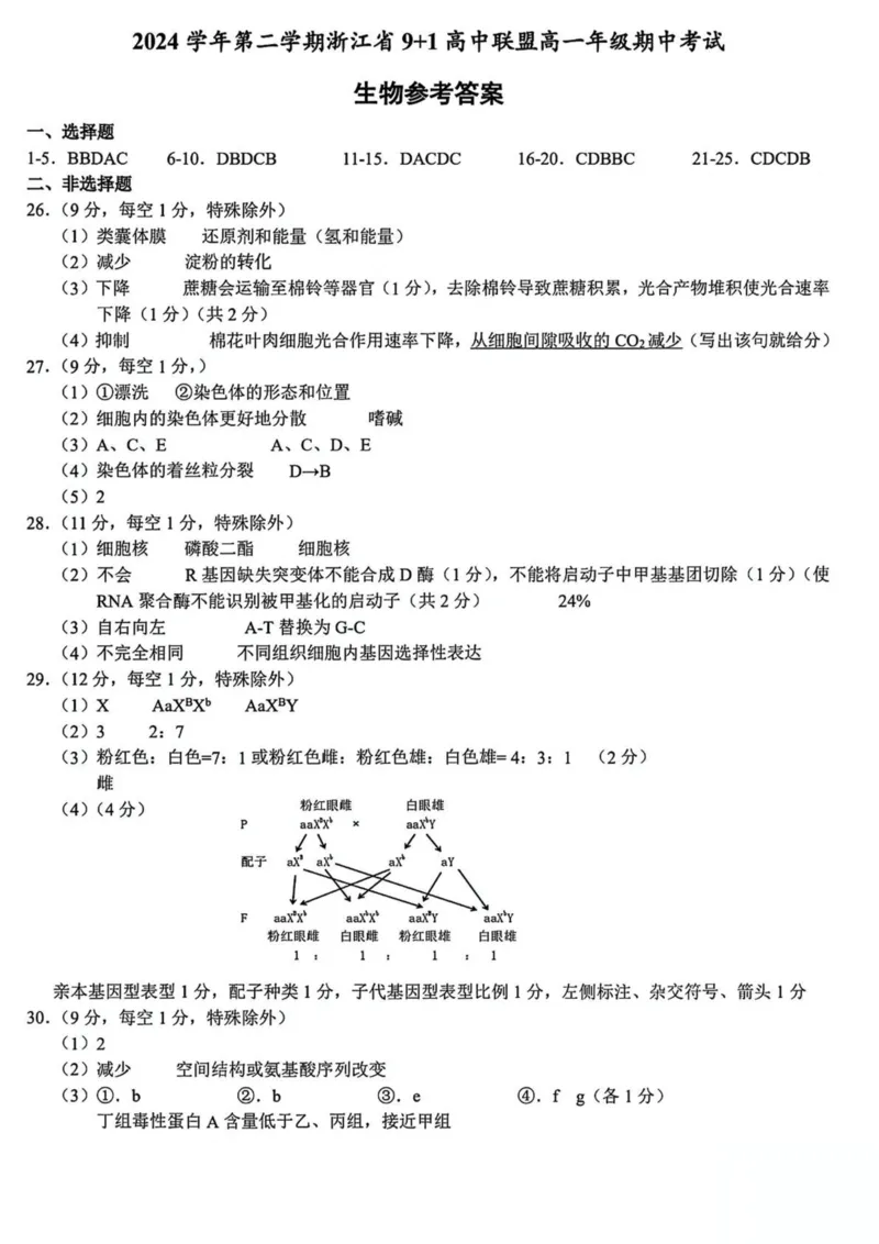 浙江省91高中联盟2024-2025学年高一下学期4月期中考试生物PDF版含答案_2024-2025高一（7-7月题库）_2025年05月试卷_0519浙江省9+1高中联盟2024-2025学年高一下学期4月期中考试