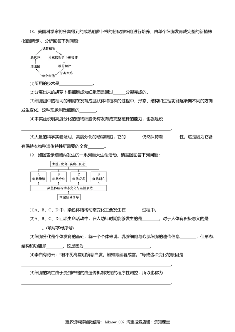 第6章细胞的生命历程A卷（原卷版）_E015高中全科试卷_生物试题_必修1_1.单元测试_3.单元测试（第三套）_第6章细胞的生命历程A卷-高一生物学同步单元AB卷（2019人教版必修1）