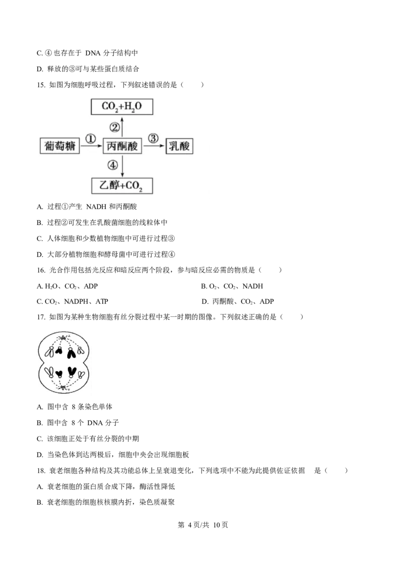 贵州省遵义市播州区2024-2025学年高一上学期1月期末适应性考试生物试卷（含答案）_2024-2025高一（7-7月题库）_2025年02月试卷