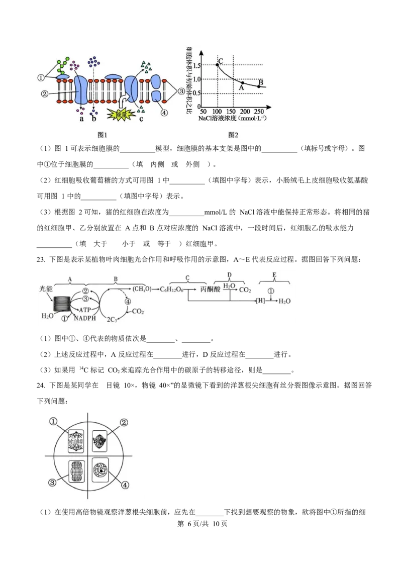 贵州省遵义市播州区2024-2025学年高一上学期1月期末适应性考试生物试卷（含答案）_2024-2025高一（7-7月题库）_2025年02月试卷