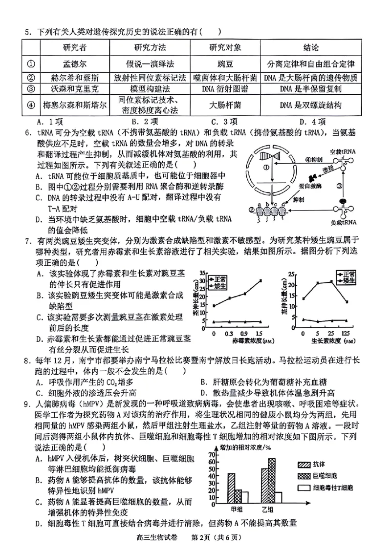 广西2024届高中毕业班5月仿真考生物_2024年5月_01按日期_28号_2024届广西高中毕业班5月仿真考_广西2024届高中毕业班5月仿真考生物试卷