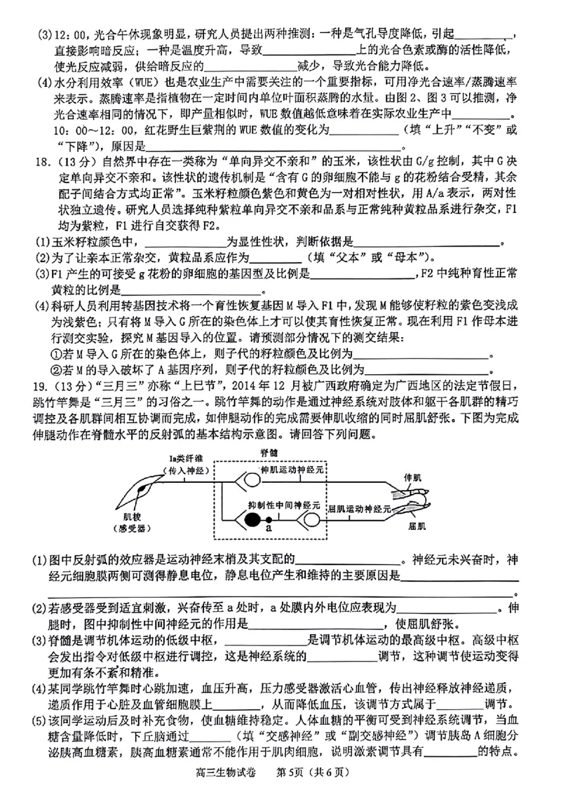 广西2024届高中毕业班5月仿真考生物_2024年5月_01按日期_28号_2024届广西高中毕业班5月仿真考_广西2024届高中毕业班5月仿真考生物试卷