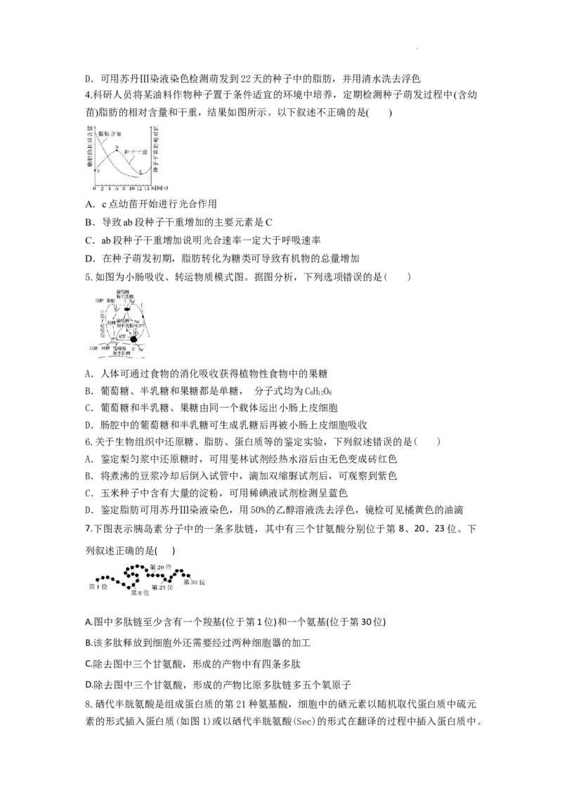 生物-陕西省西安市部分学校联考2024-2025学年高一上学期10月月考_2024-2025高一（7-7月题库）_2024年10月试卷_1022陕西省西安市部分学校联考2024-2025学年高一上学期10月月考