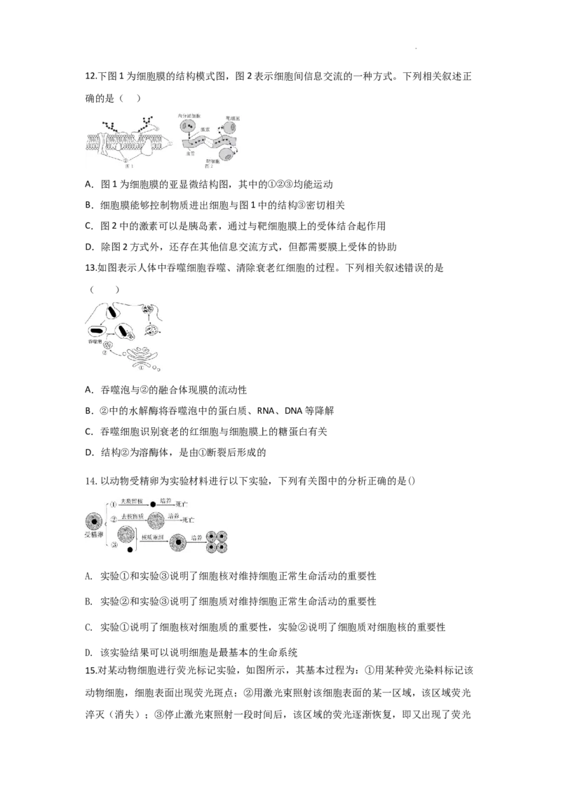生物-陕西省西安市部分学校联考2024-2025学年高一上学期10月月考_2024-2025高一（7-7月题库）_2024年10月试卷_1022陕西省西安市部分学校联考2024-2025学年高一上学期10月月考