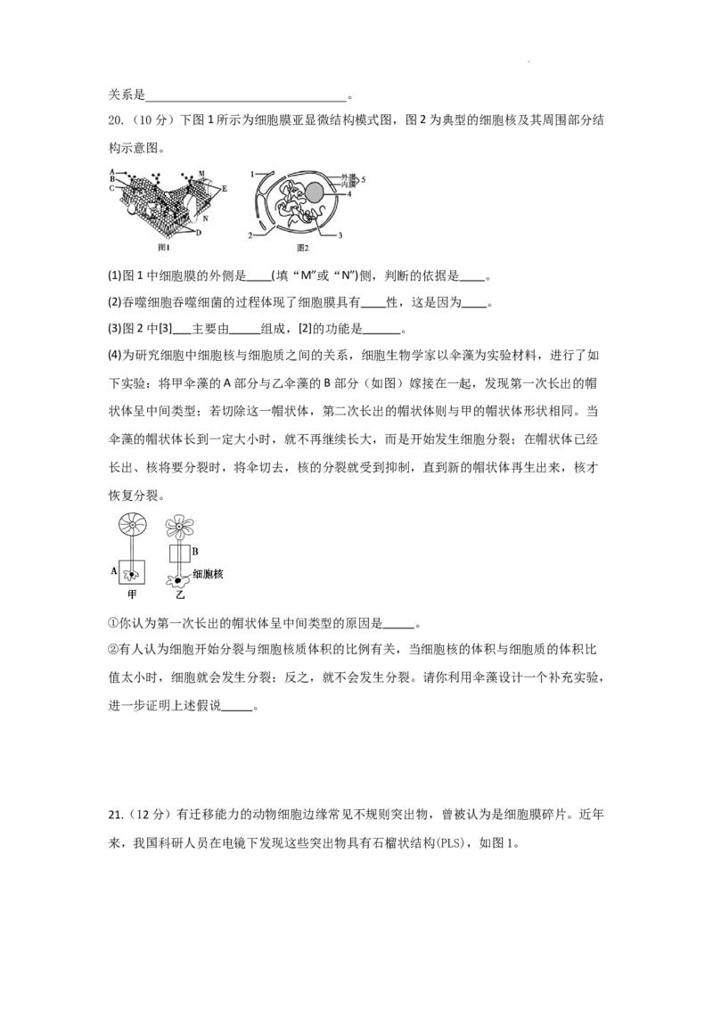 生物-陕西省西安市部分学校联考2024-2025学年高一上学期10月月考_2024-2025高一（7-7月题库）_2024年10月试卷_1022陕西省西安市部分学校联考2024-2025学年高一上学期10月月考