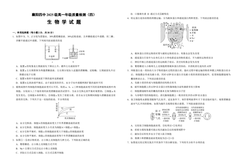 湖北省襄阳市第四中学2025-2026学年高一上学期12月月考生物试题Word版含解析_2024-2025高一（7-7月题库）_2026年1月高一_260106湖北省襄阳市第四中学2025-2026学年高一上学期12月月考