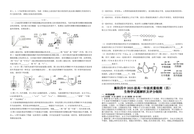 湖北省襄阳市第四中学2025-2026学年高一上学期12月月考生物试题Word版含解析_2024-2025高一（7-7月题库）_2026年1月高一_260106湖北省襄阳市第四中学2025-2026学年高一上学期12月月考