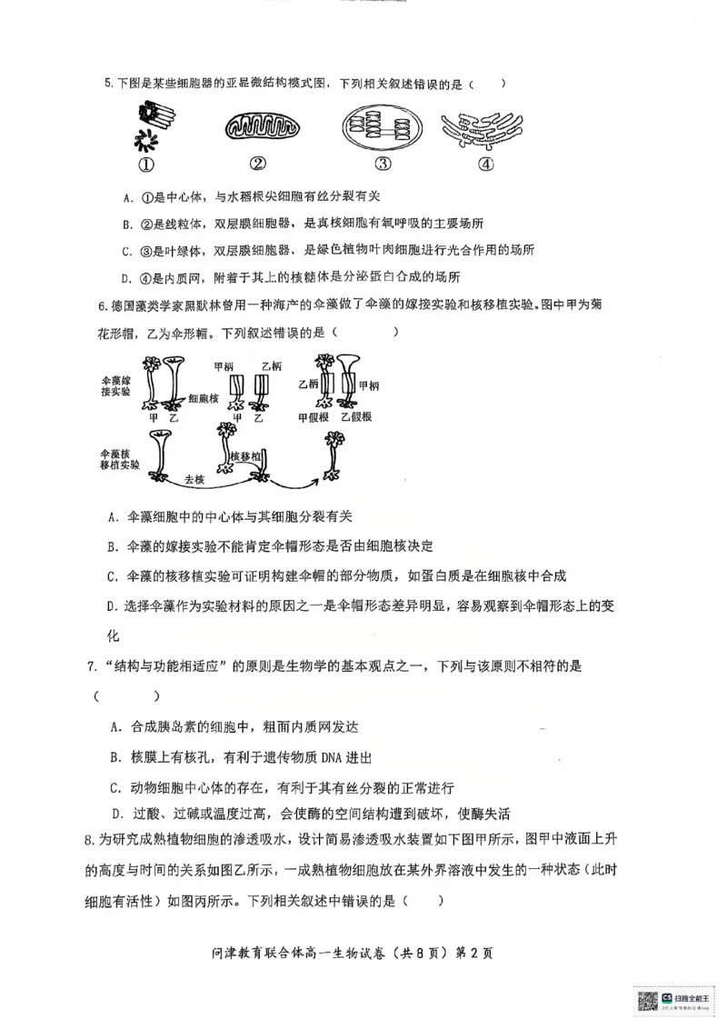 湖北省武汉市问津教育联合体2024-2025学年高一上学期12月月考生物试题PDF版无答案_2024-2025高一（7-7月题库）_2025年01月试卷