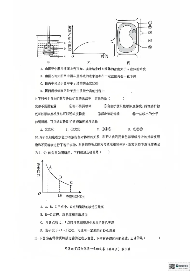 湖北省武汉市问津教育联合体2024-2025学年高一上学期12月月考生物试题PDF版无答案_2024-2025高一（7-7月题库）_2025年01月试卷