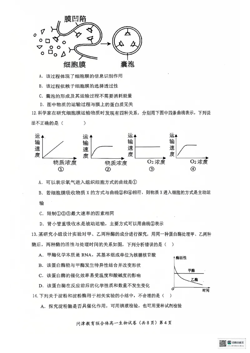湖北省武汉市问津教育联合体2024-2025学年高一上学期12月月考生物试题PDF版无答案_2024-2025高一（7-7月题库）_2025年01月试卷
