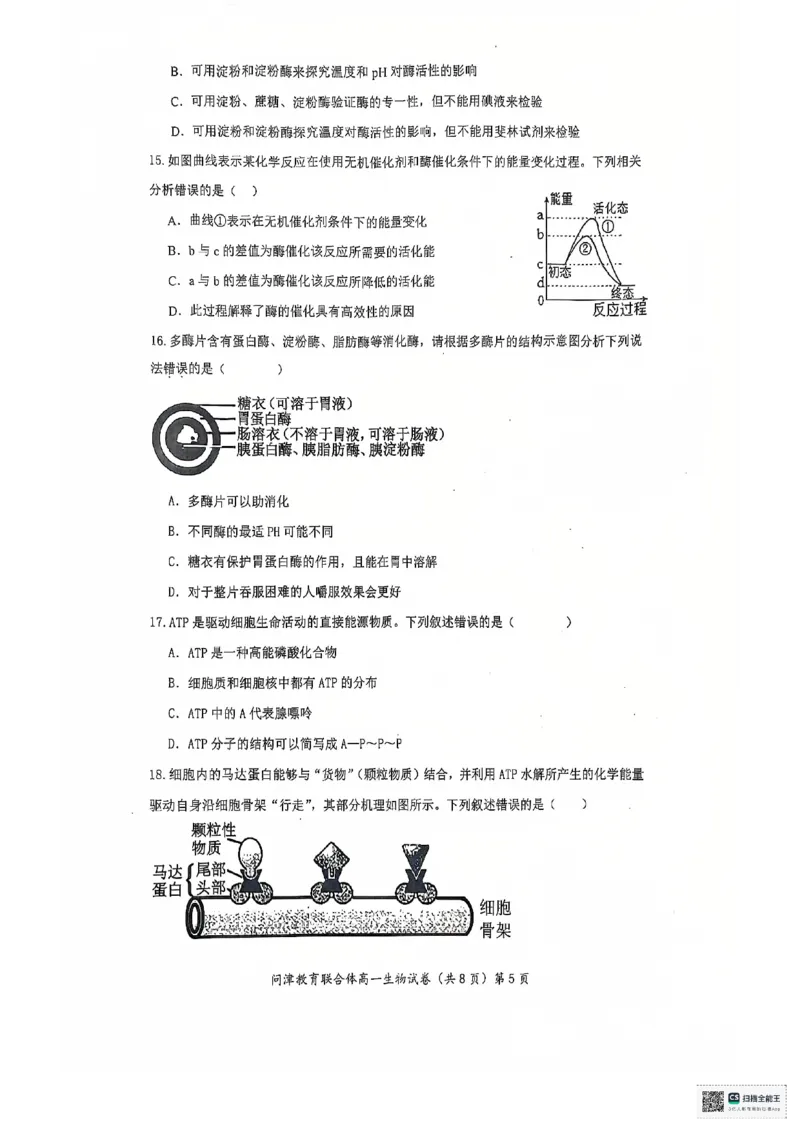 湖北省武汉市问津教育联合体2024-2025学年高一上学期12月月考生物试题PDF版无答案_2024-2025高一（7-7月题库）_2025年01月试卷