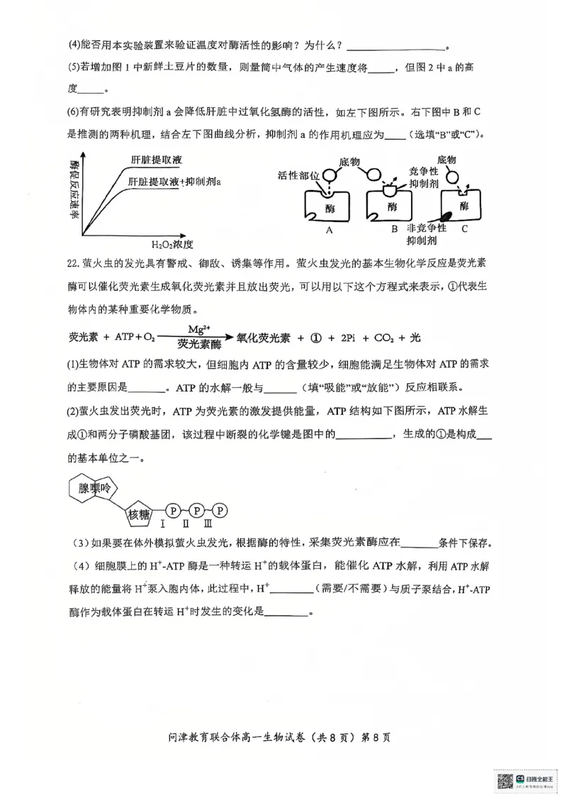湖北省武汉市问津教育联合体2024-2025学年高一上学期12月月考生物试题PDF版无答案_2024-2025高一（7-7月题库）_2025年01月试卷