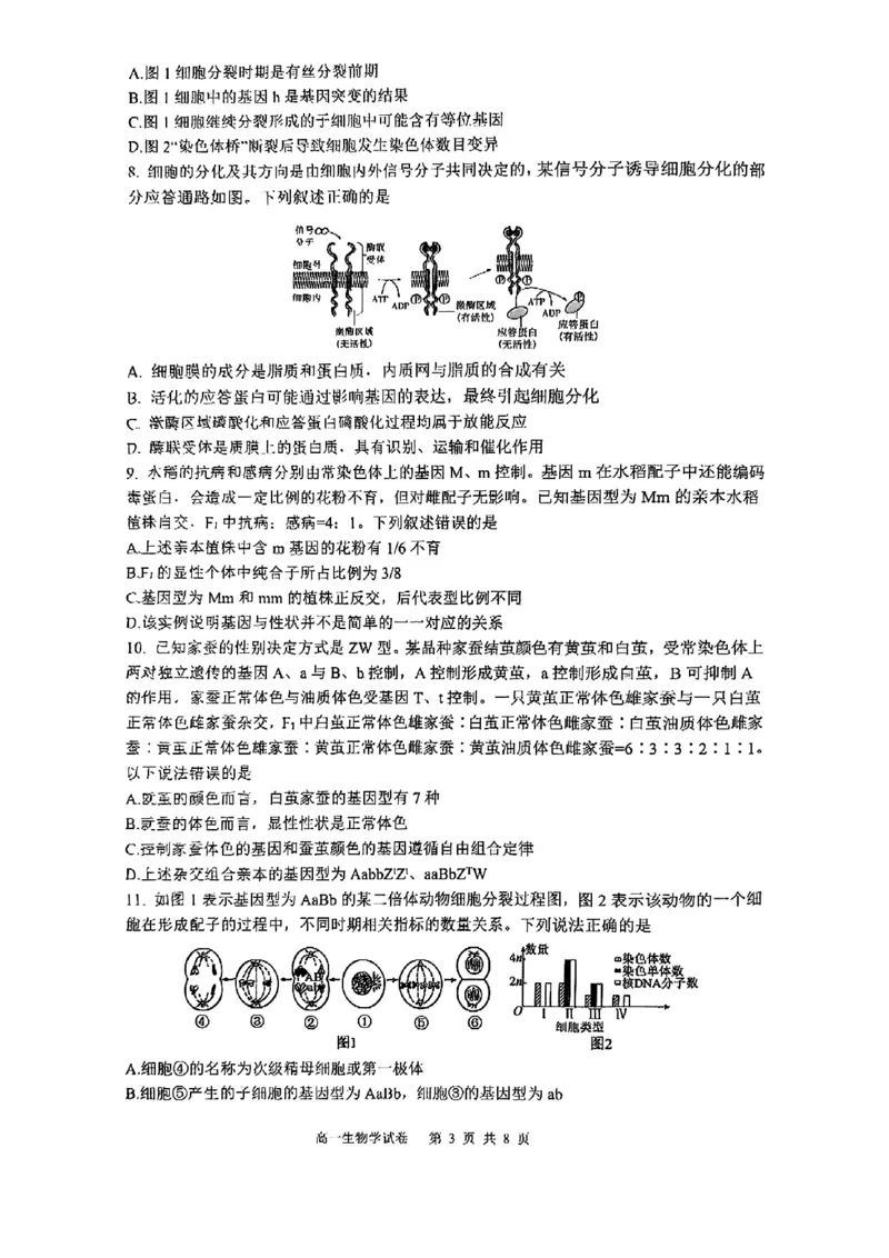 重庆市巴蜀中学教育集团高2027届高一（下）期末考试生物试卷+答案_2024-2025高一（7-7月题库）_2025年7月_250712重庆市巴蜀中学教育集团高2027届高一（下）期末考试