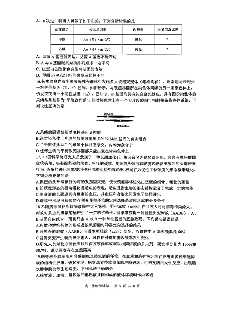 重庆市巴蜀中学教育集团高2027届高一（下）期末考试生物试卷+答案_2024-2025高一（7-7月题库）_2025年7月_250712重庆市巴蜀中学教育集团高2027届高一（下）期末考试