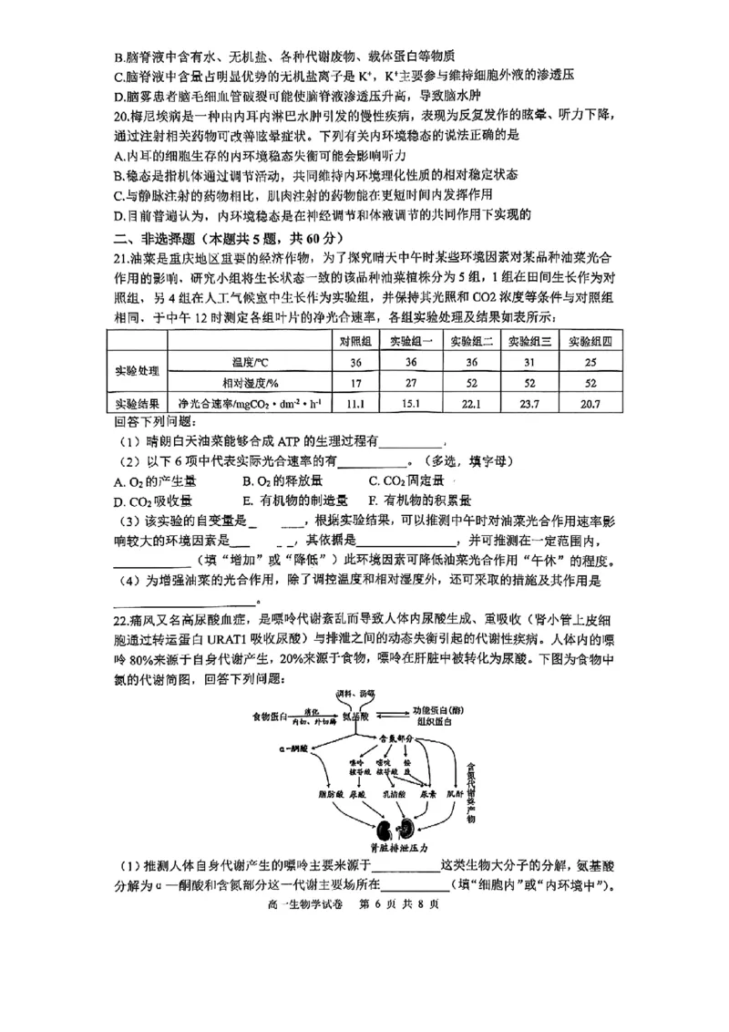 重庆市巴蜀中学教育集团高2027届高一（下）期末考试生物试卷+答案_2024-2025高一（7-7月题库）_2025年7月_250712重庆市巴蜀中学教育集团高2027届高一（下）期末考试
