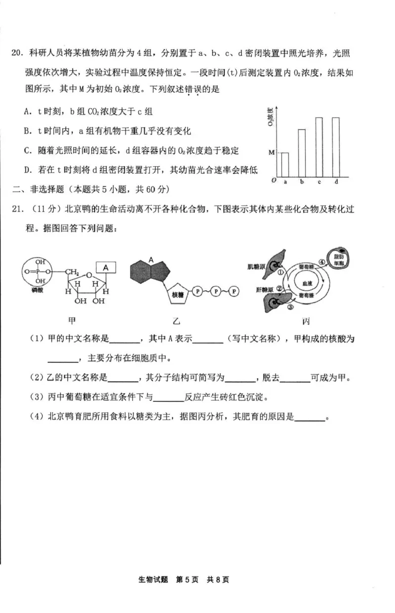 福建省宁德市2024-2025学年高一上学期1月期末考试生物PDF版含答案_2024-2025高一（7-7月题库）_2025年01月试卷_0124福建省宁德市2024-2025学年高一上学期1月期末考试