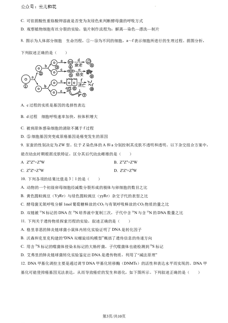 湖南省株洲市天元区株洲市二中教育集团株洲市第二中学2023-2024学年高一下学期期末联考生物试题_2024-2025高一（7-7月题库）_2024年7月试卷