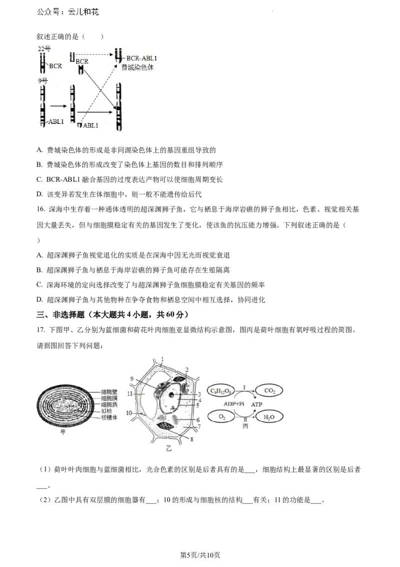 湖南省株洲市天元区株洲市二中教育集团株洲市第二中学2023-2024学年高一下学期期末联考生物试题_2024-2025高一（7-7月题库）_2024年7月试卷