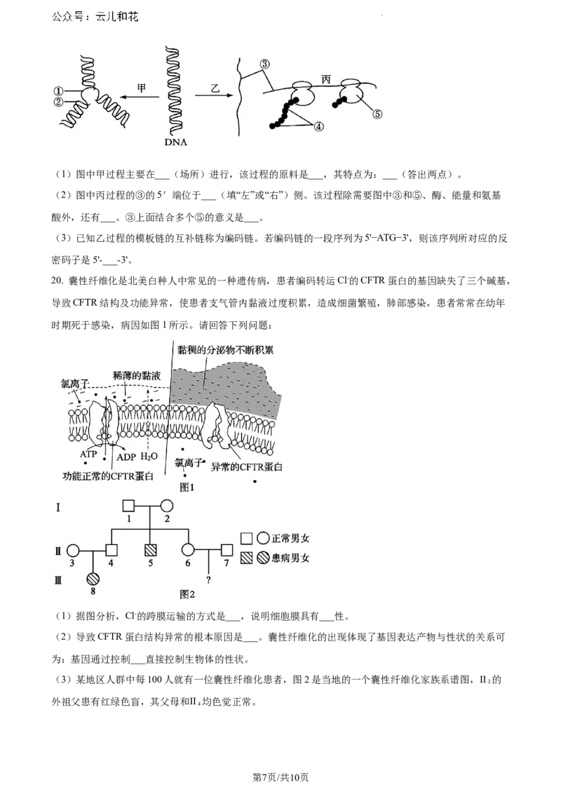 湖南省株洲市天元区株洲市二中教育集团株洲市第二中学2023-2024学年高一下学期期末联考生物试题_2024-2025高一（7-7月题库）_2024年7月试卷