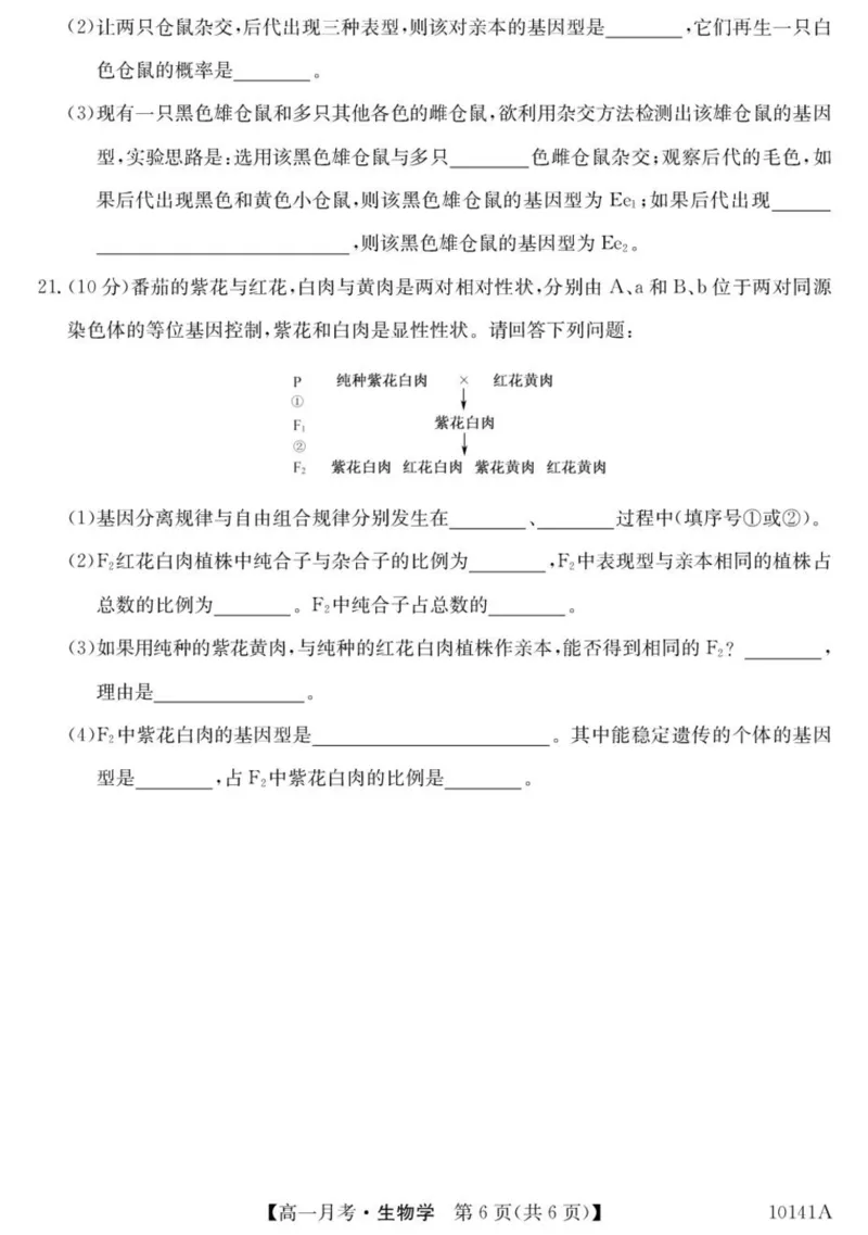 甘肃省定西市临洮县文峰中学2024-2025学年高一下学期第一次月考生物学试卷（扫描版有答案）_2024-2025高一（7-7月题库）_2025年04月试卷