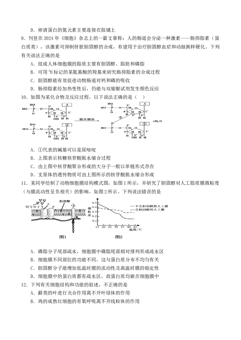 福建省龙岩市连城县第一中学2025-2026学年高一上学期12月月考生物试题（含答案）_2024-2025高一（7-7月题库）_2026年1月高一